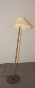 erik-wester-standing-task-light